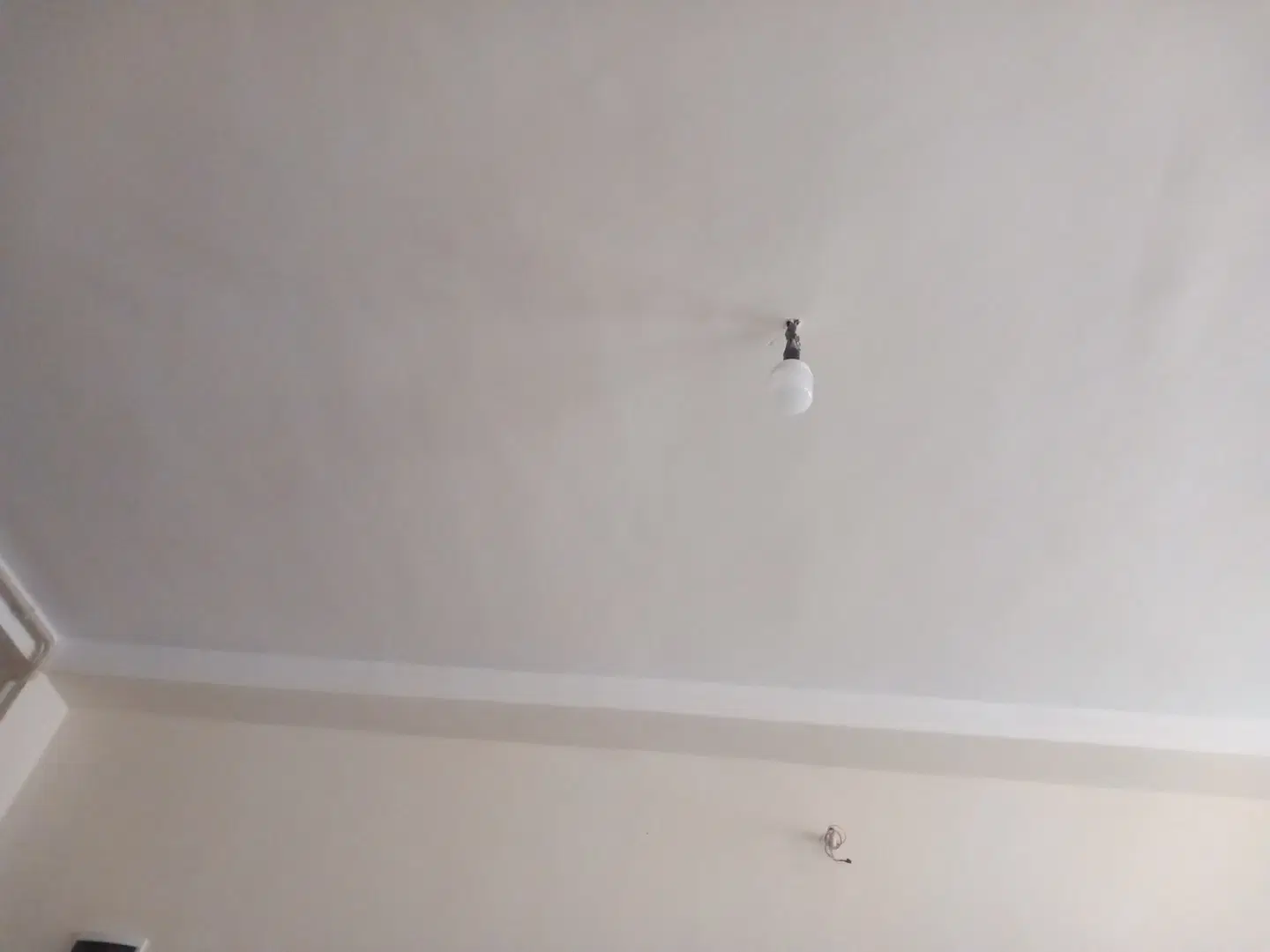 همخونه