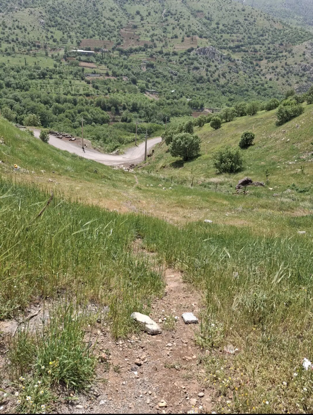 فروش زمین کشاورزی