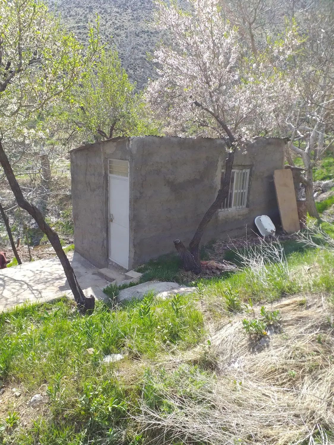 باغچه در نیوشت