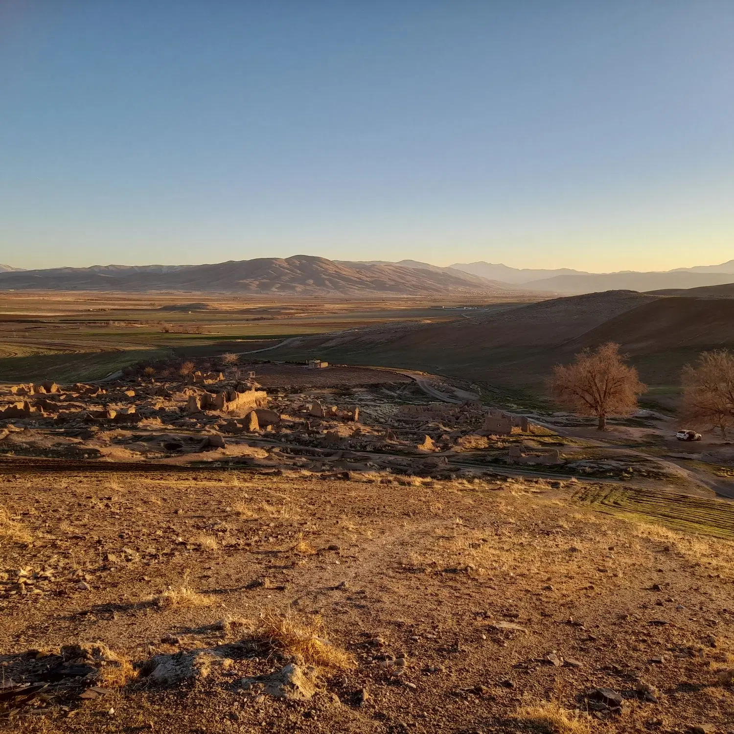 زمین فرزند آوری