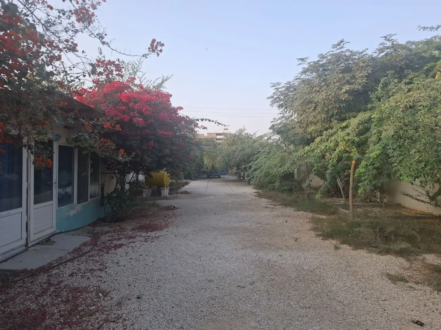 اجاره واحد در خونه باغ