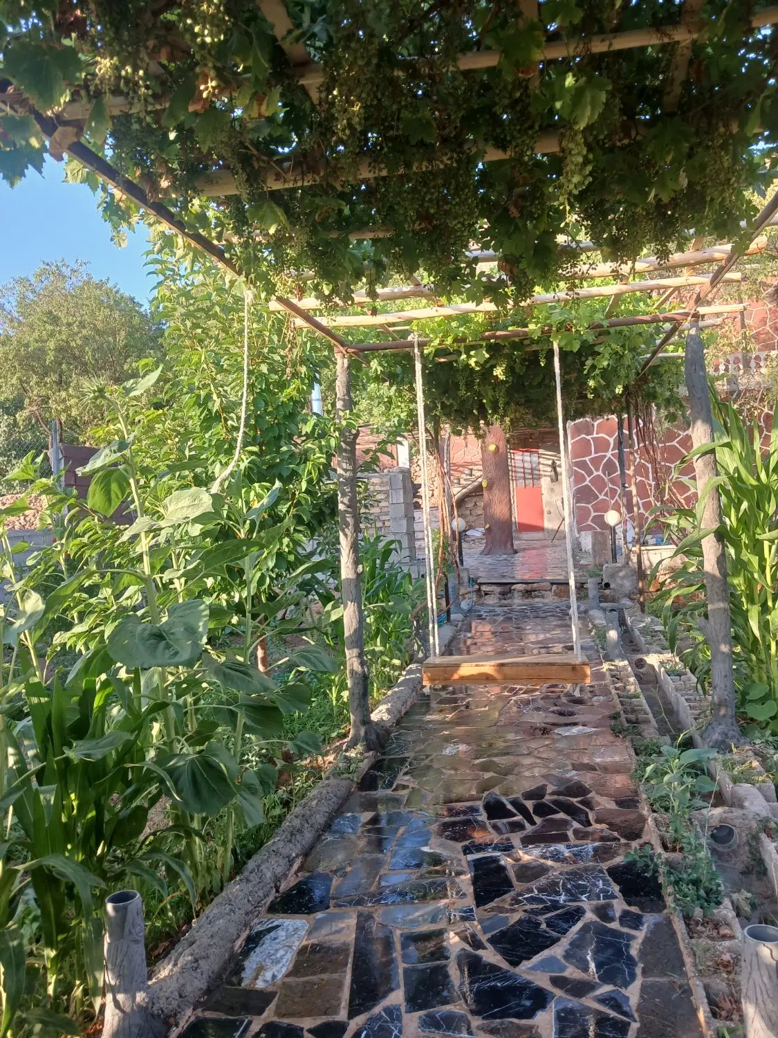 خانه باغ فروشی برزک