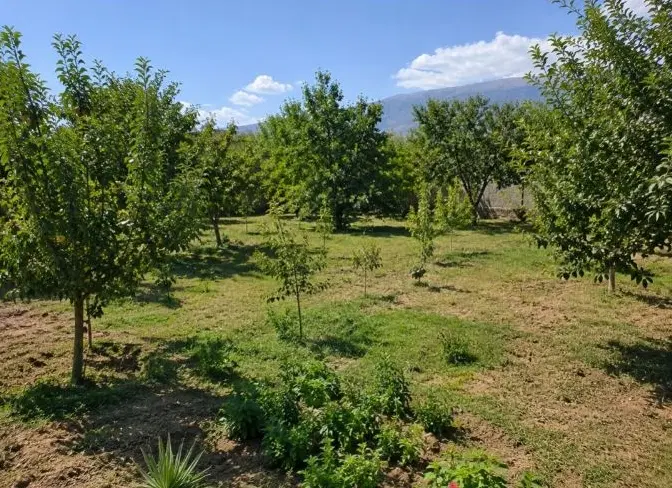 یک قطعه زمین حصار سرخ شاندیز امام رضا ۱۱