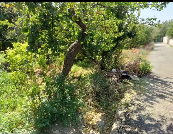 باغ شهریار رزکان ۸۰۰مترسند تک برگ عرصه عیان