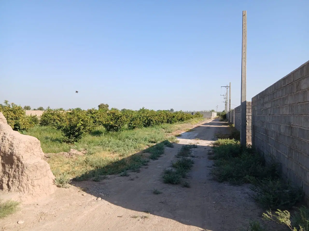 فروش باغچه ۱۰۰۰متر_سیاه منصور