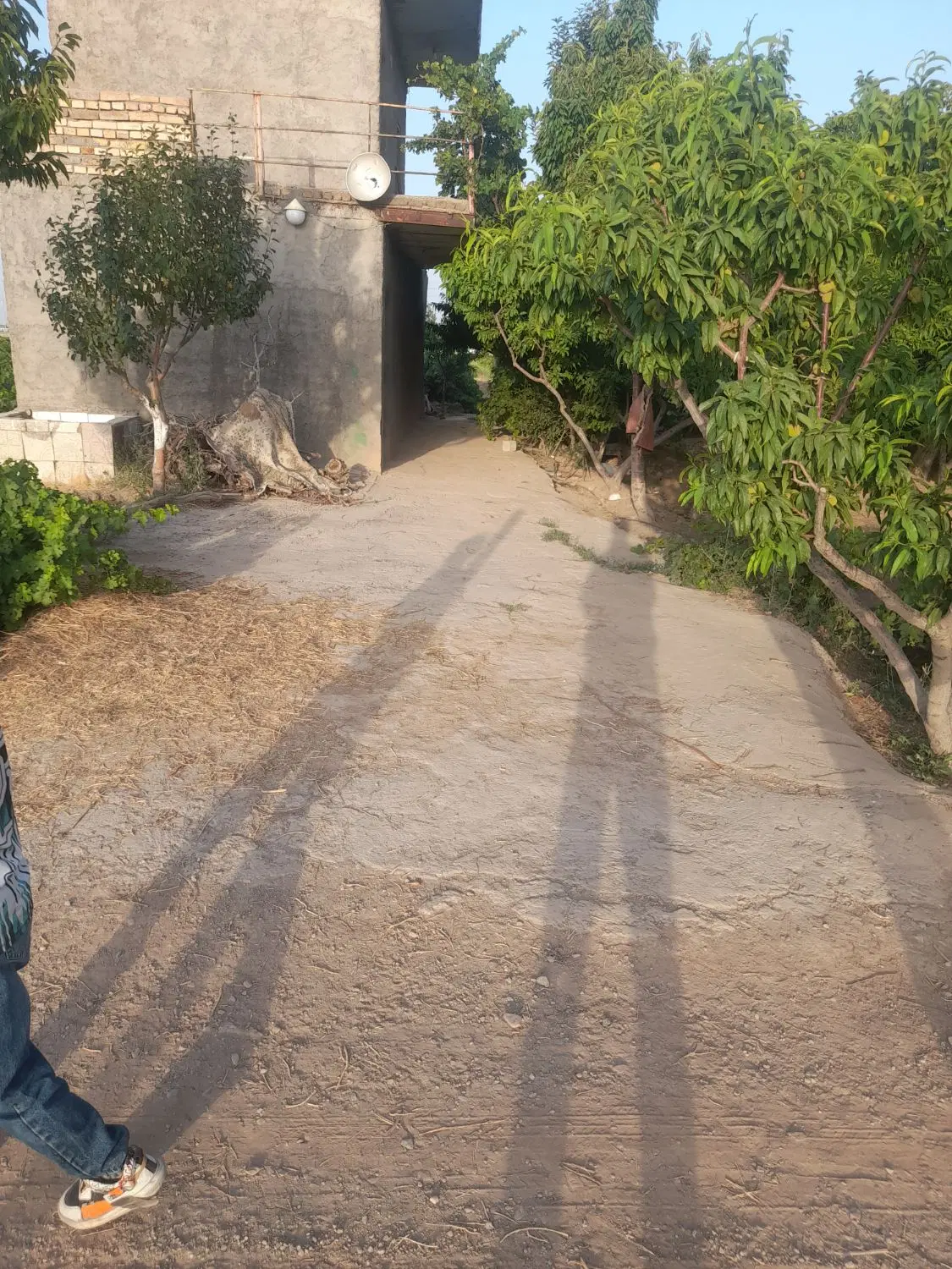 باغ ویلایی ۶هزارمتری