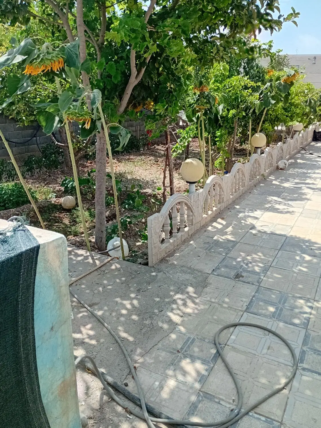 فروش باغ ویلا