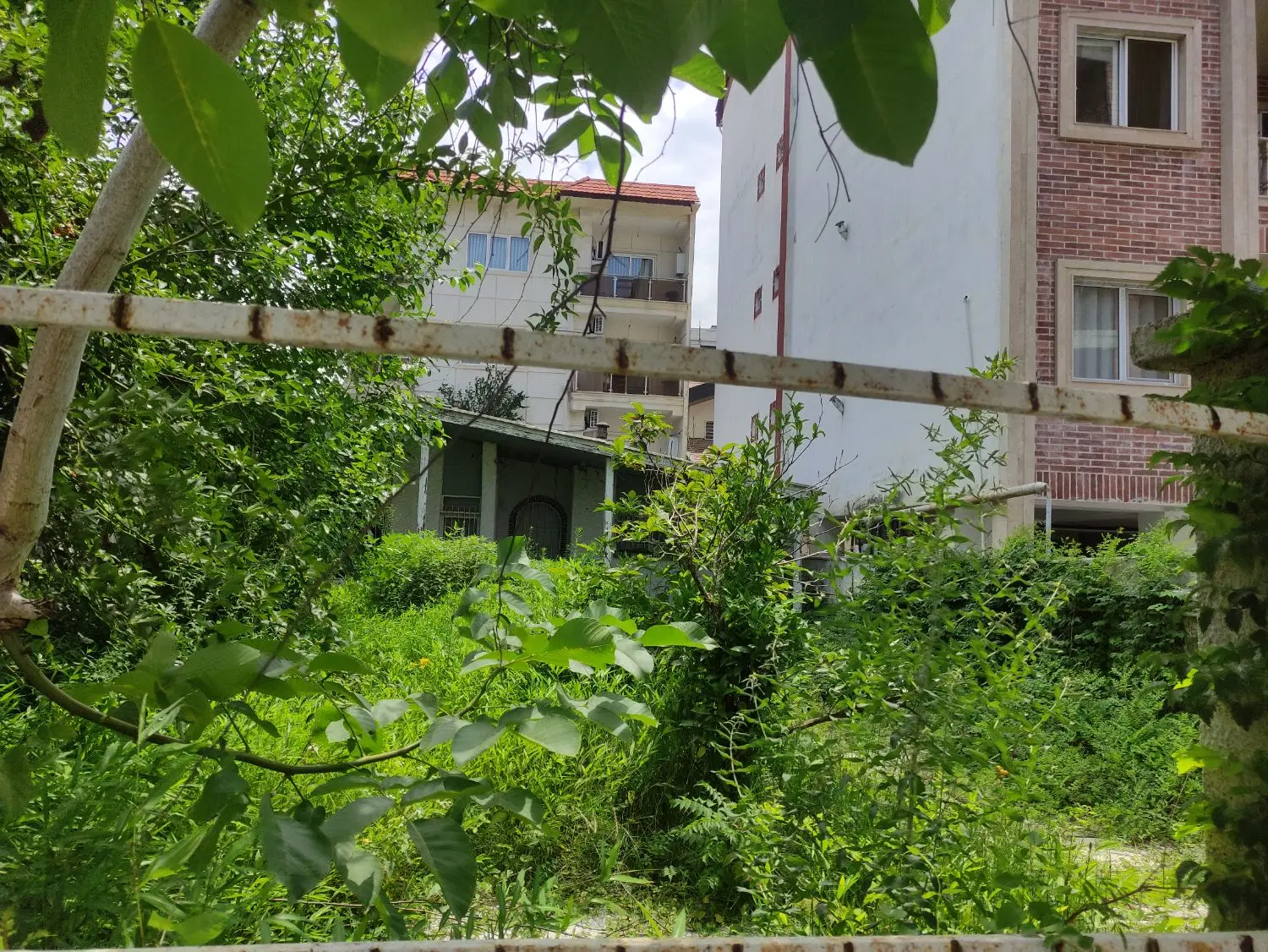 ۳۱۶متر زمین با بنای کلنگی در دریاگوشه