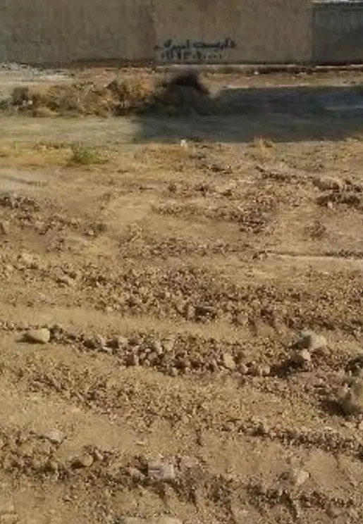 زمین تجاری