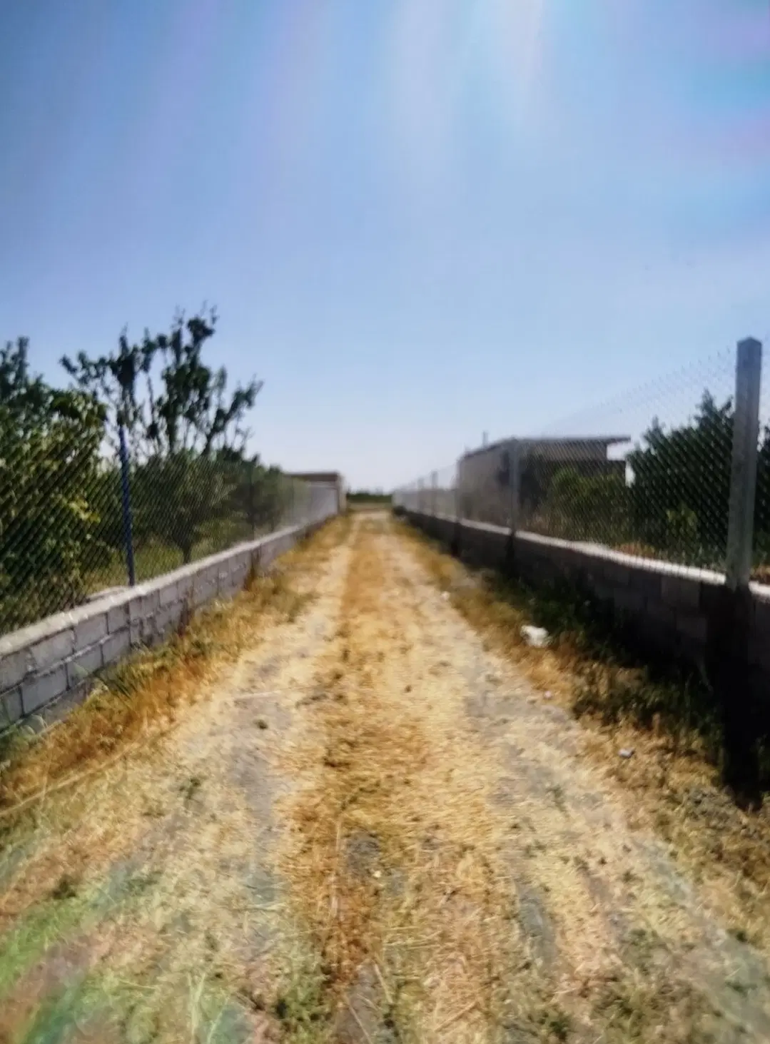 باغچه الوان