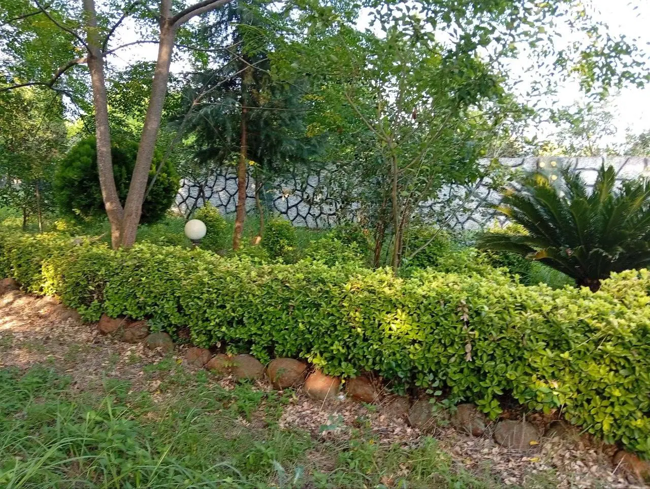 باغچه ۷۰۰ متری در کلاچای