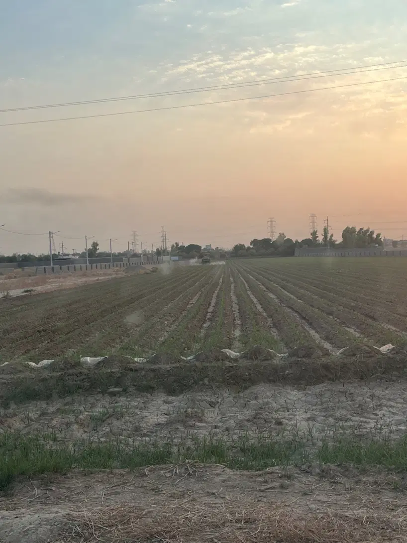 اجاره زمین کشاورزی یک کشت جاده سد
