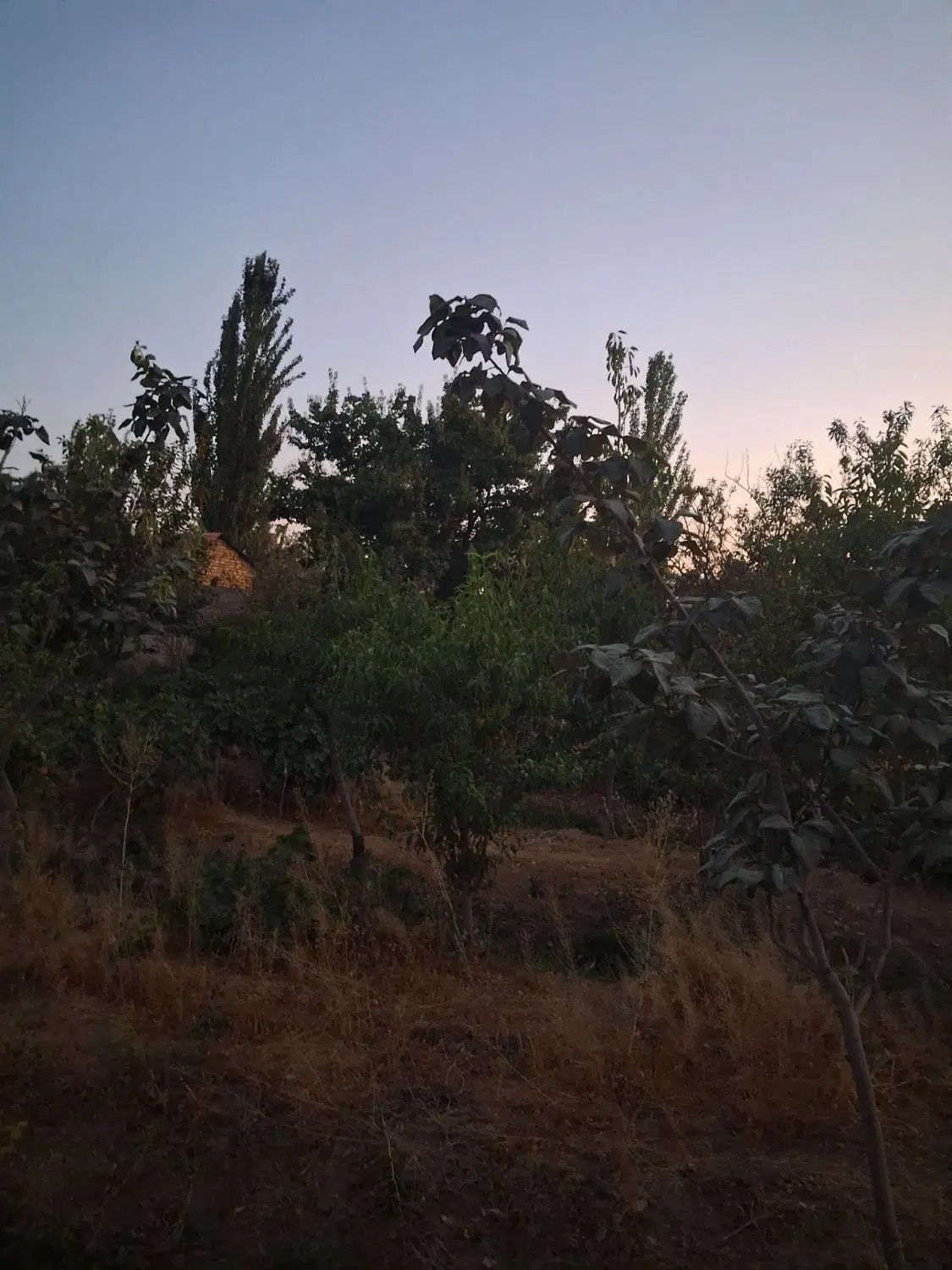 فروش باغ مرزیجران