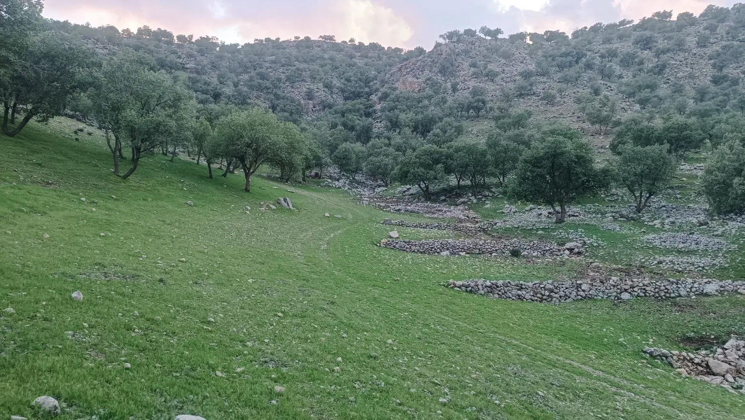 زمین باغچه