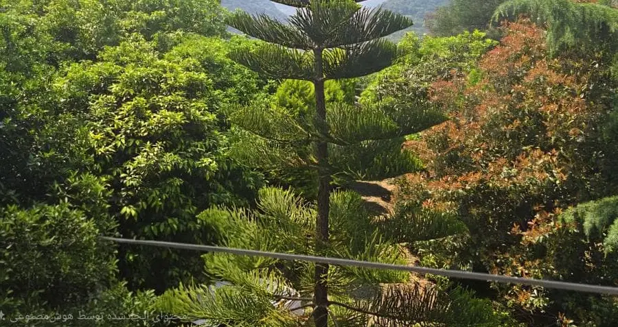 ۲۵۰مترباغ‌قاسم آباد بزرگ