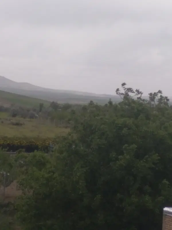 زمین مناسب گلخانه