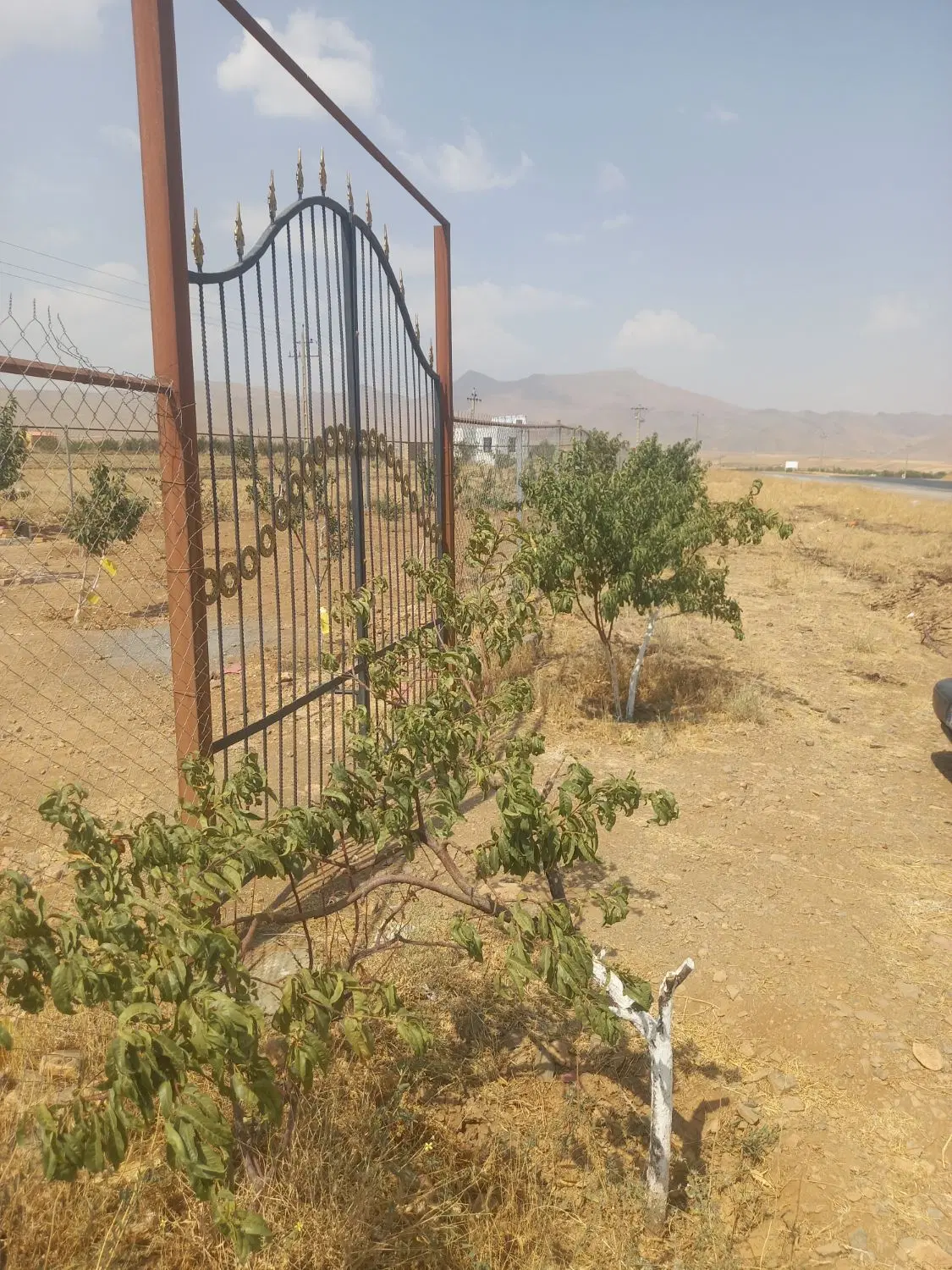 فروش باغ ۴۵۰ متری ، درختان متنوع و آب اختصاصی