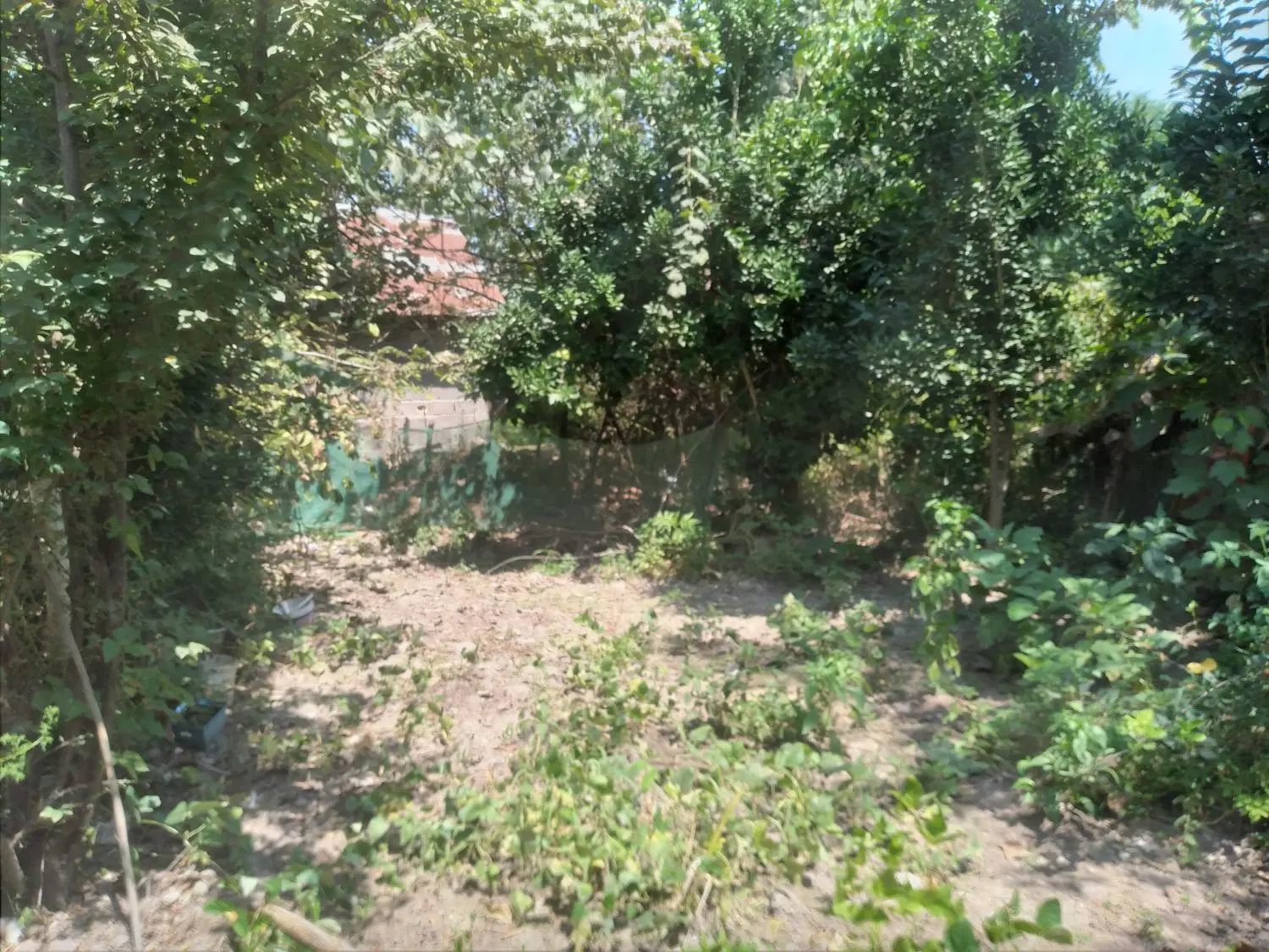 زمین مسکونی
