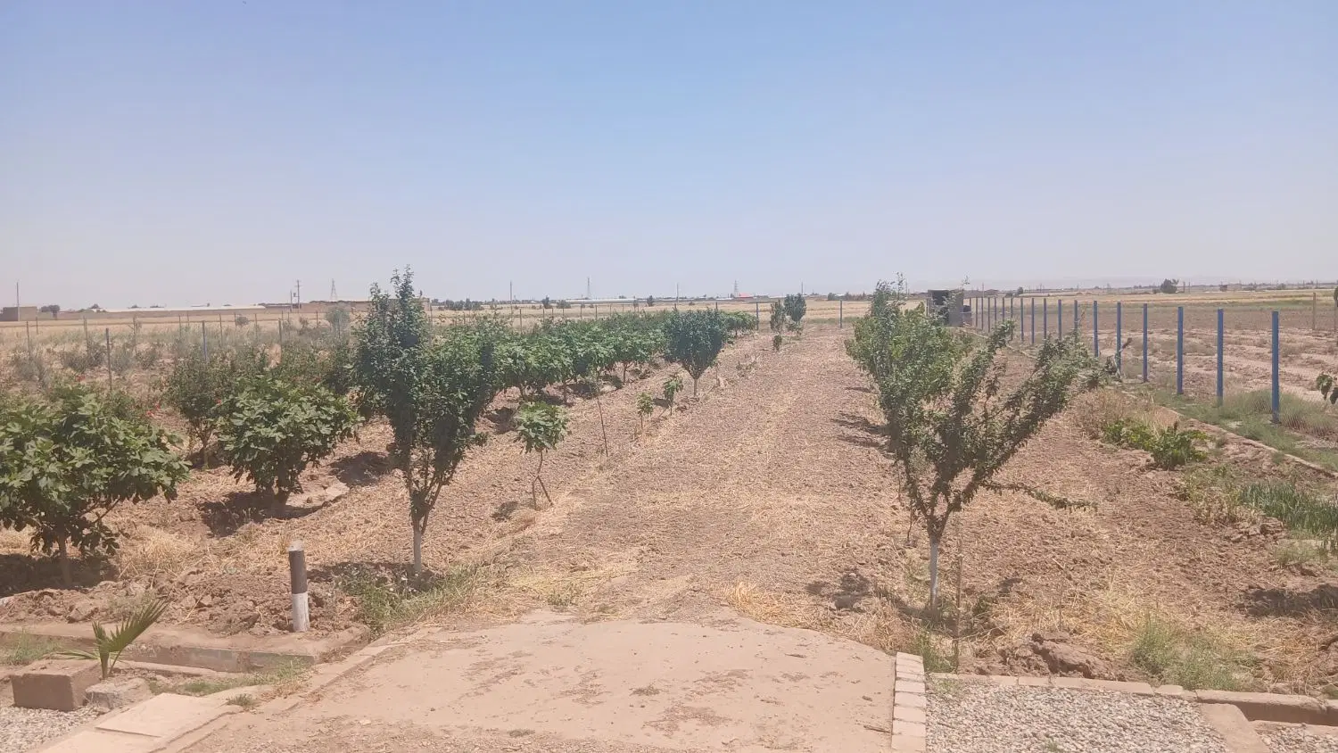 باغ چهار قشلاق