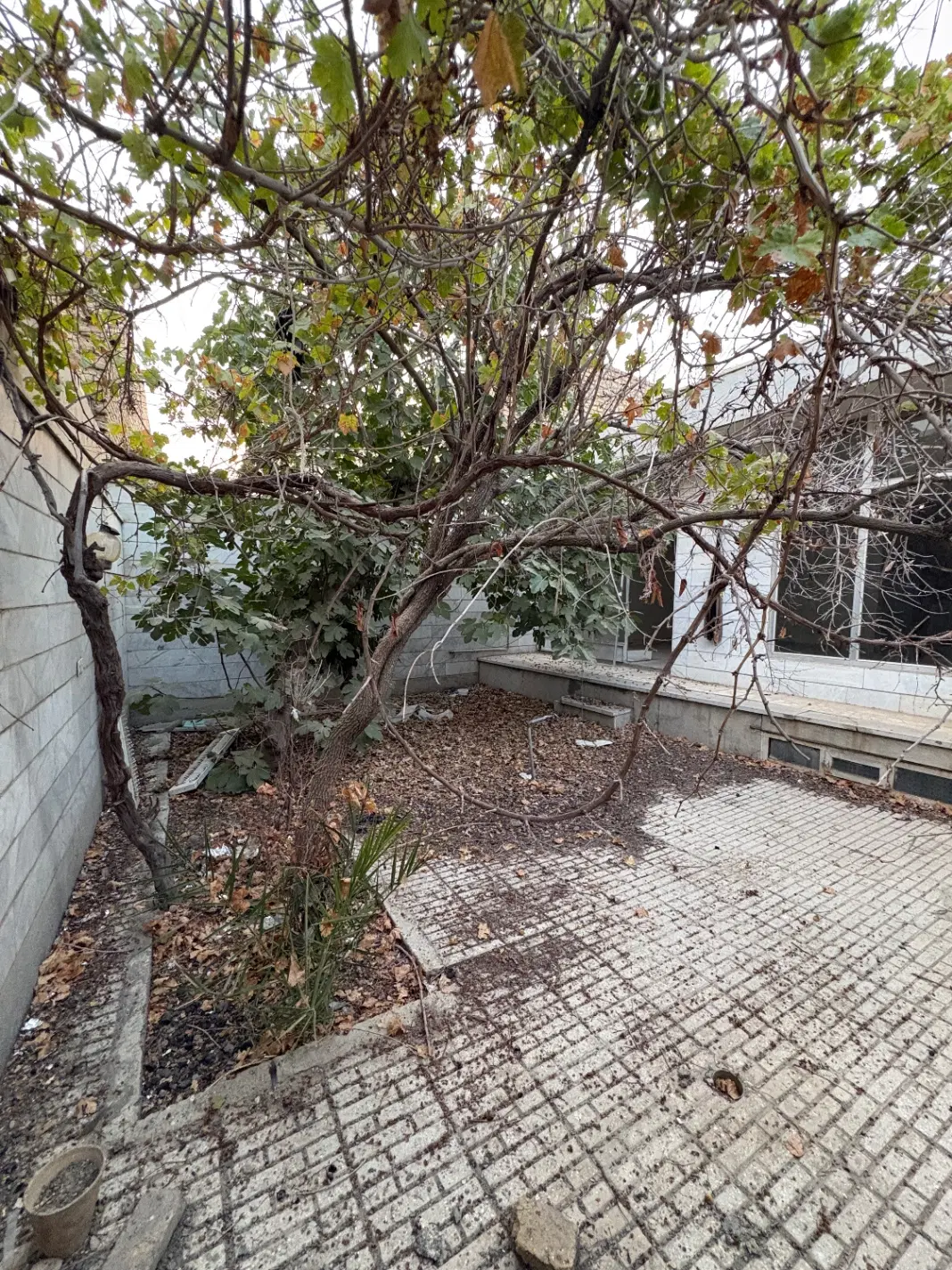 خانه کلنگی فجر ۲