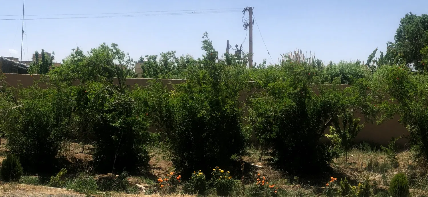 فروش باغ عالی با قیمت مناسب