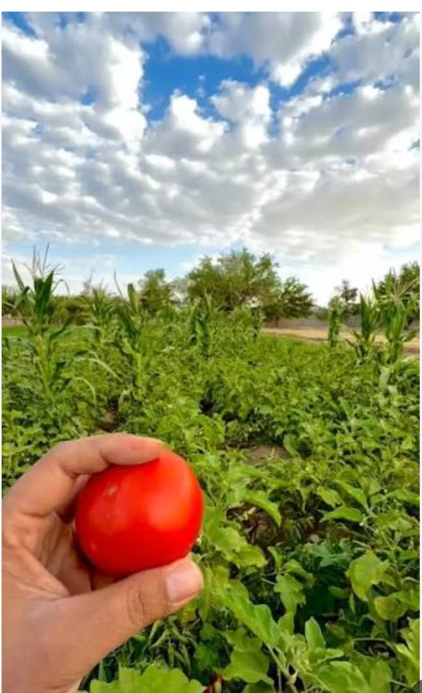 زمین بهشت اباد ۲۰۰ متری