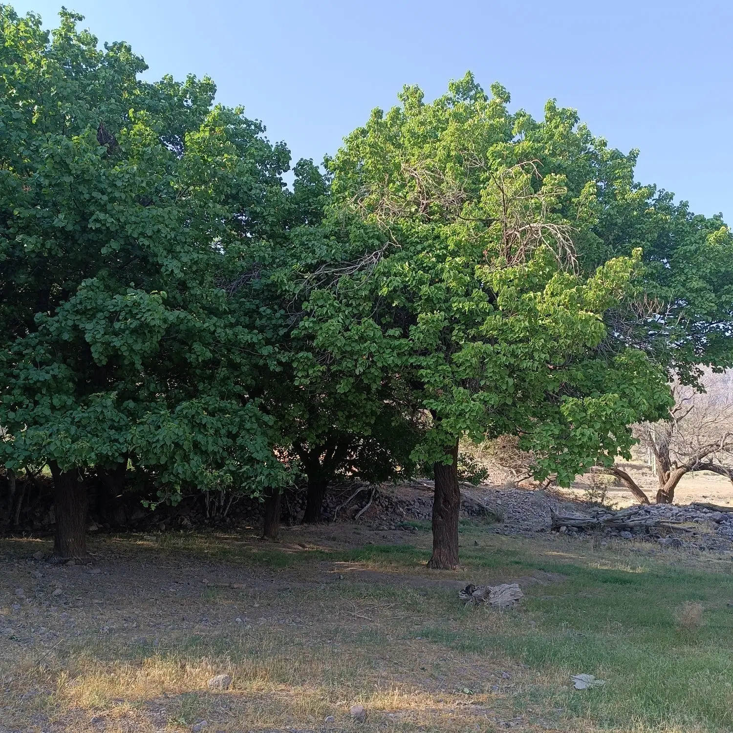 زمین فروشی