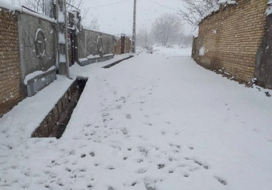 فروش زمین جهت ساخت ویلا