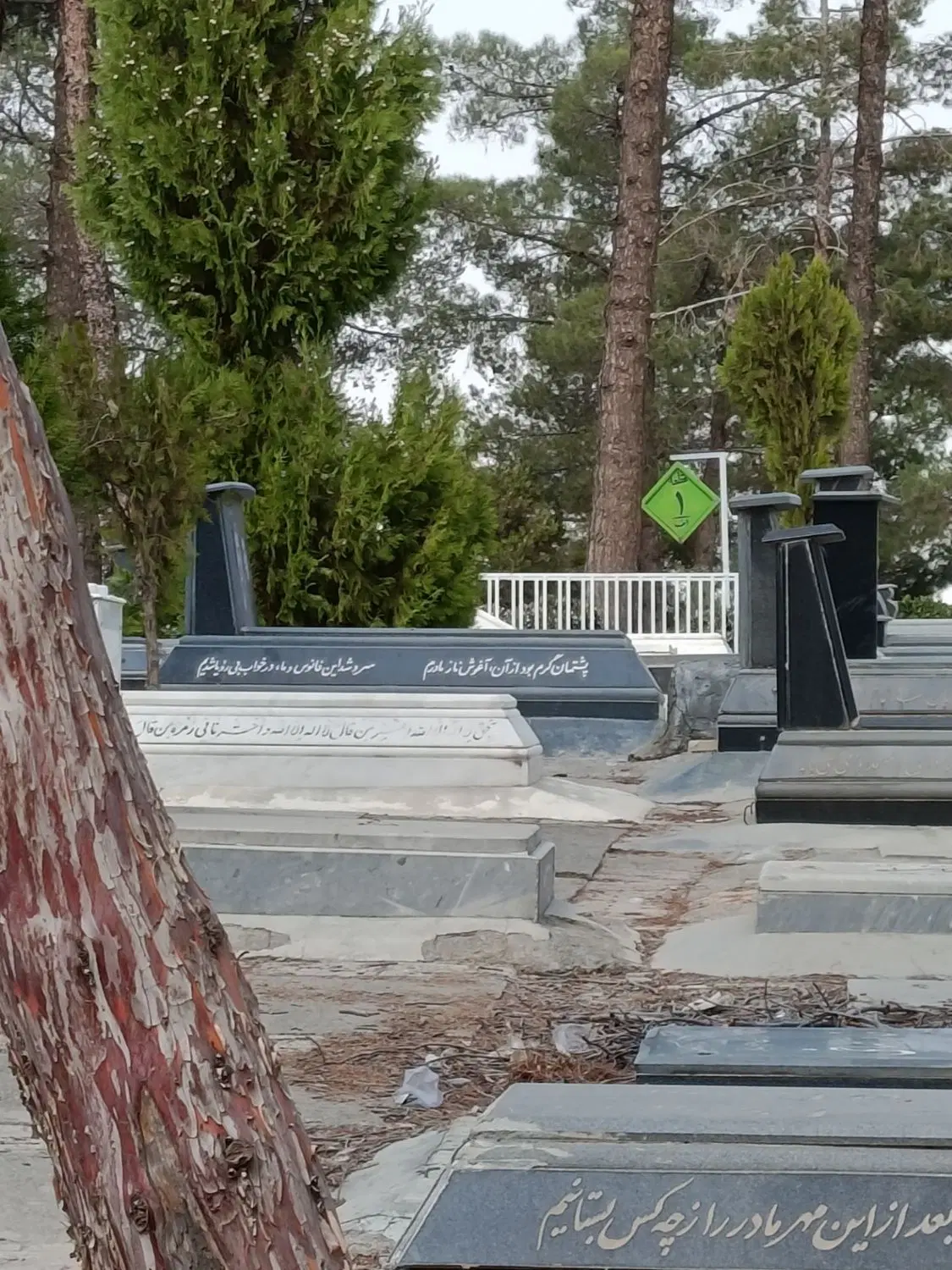 واگذاری ارامگاه
