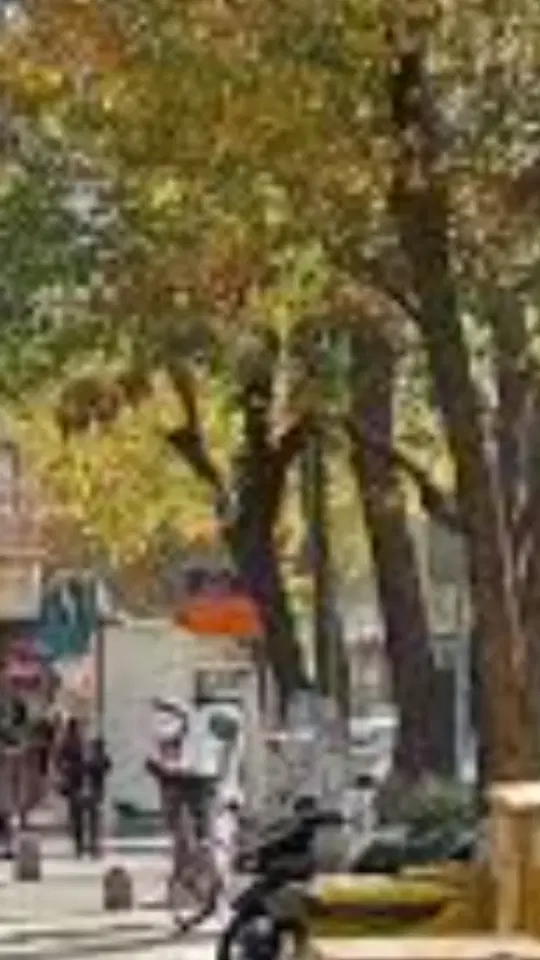 ۱۶۷ متر _کلنگی امیریه( وزیری)