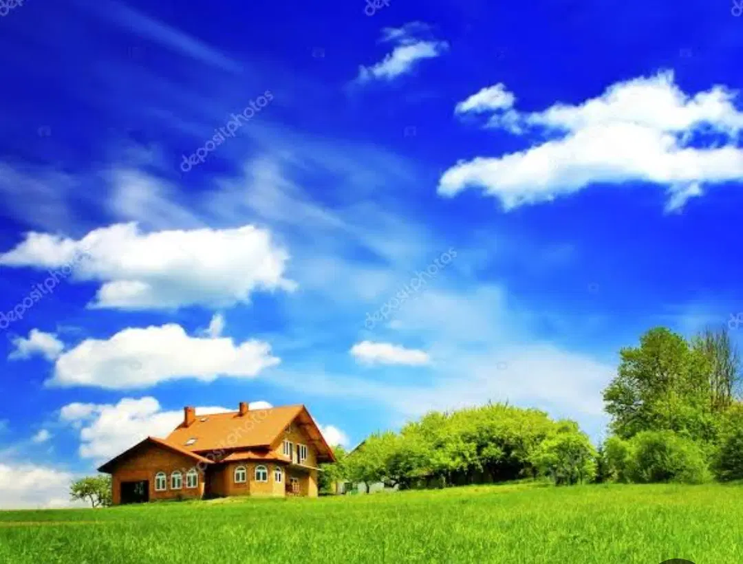 انواع زمین در جزیره مینو
