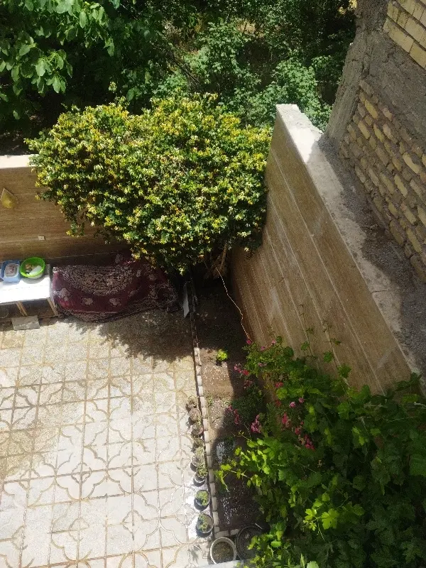 اجاره یک واحد مسکونی حیاط دار