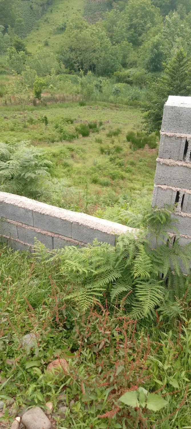 فروش زمین مسکونی