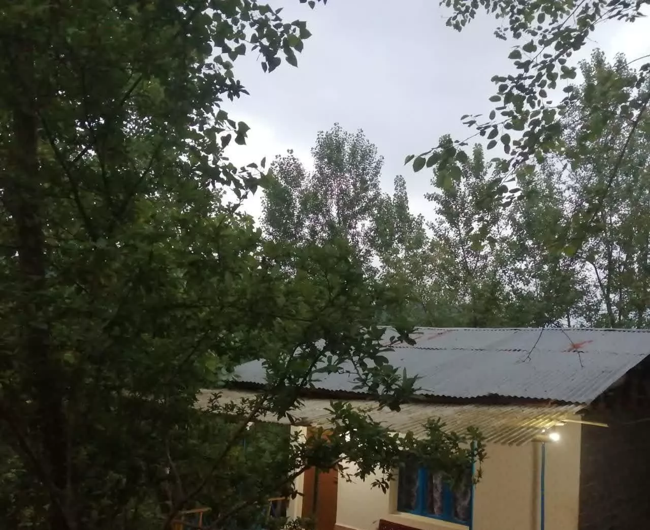 اجاره کلبه جنگلی لفور،اجاره کلبه چوبی لفور