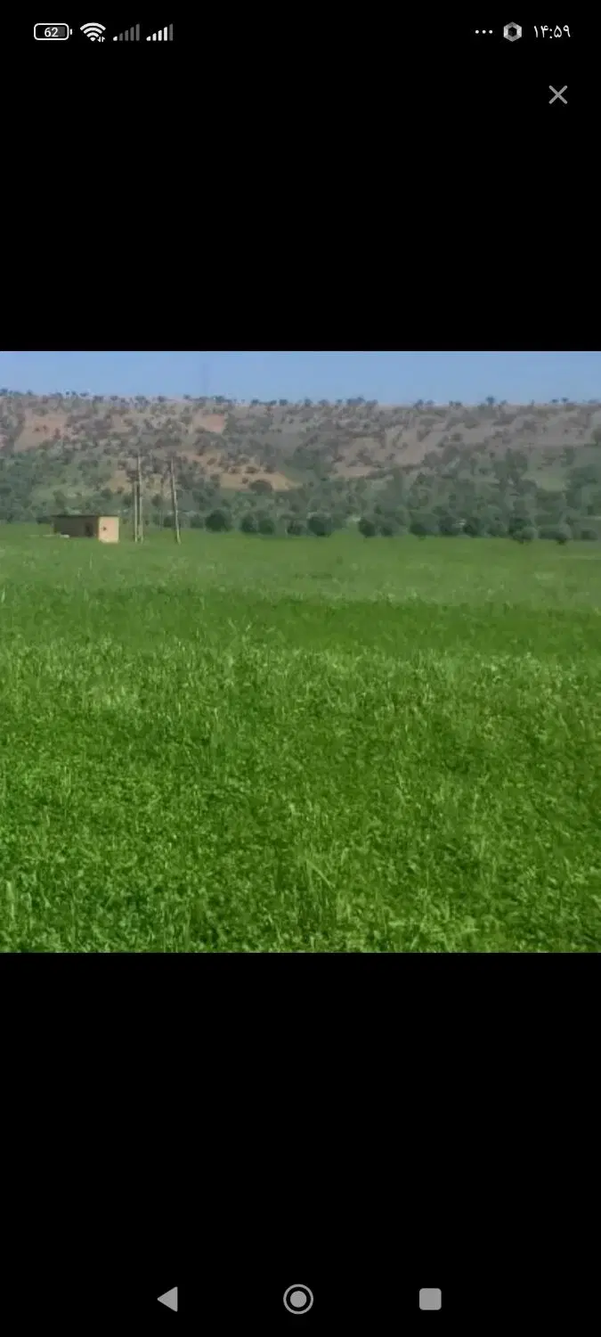 زمین