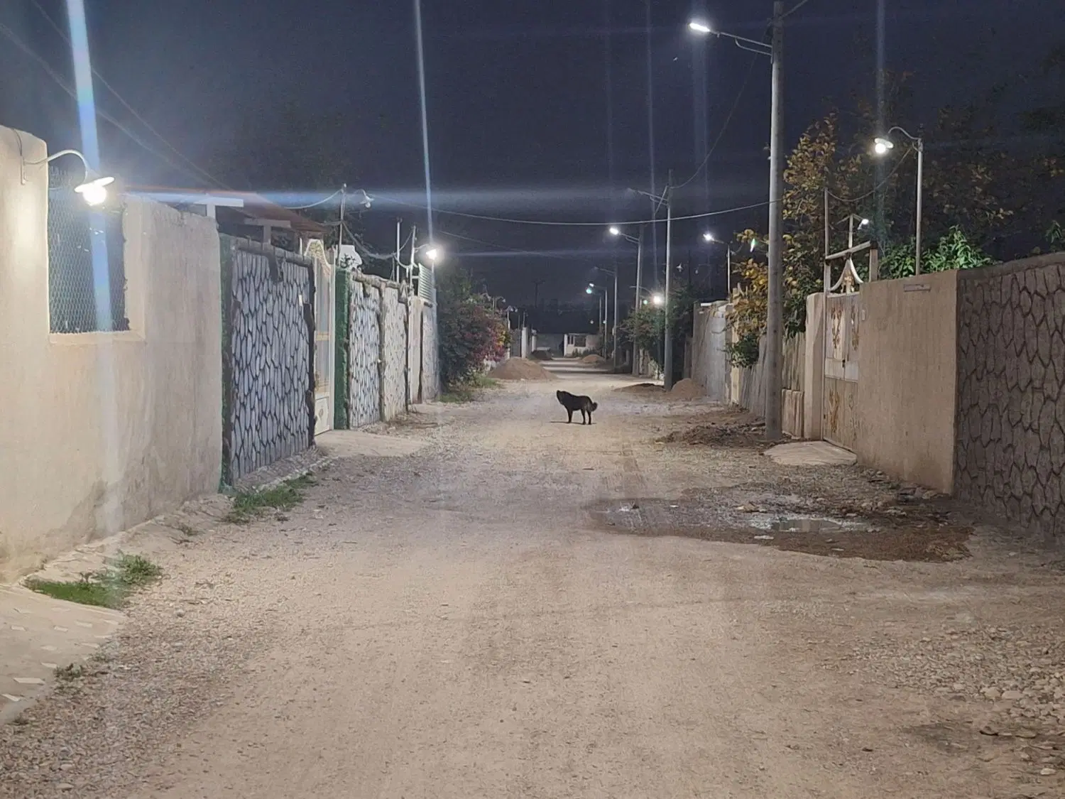 خانه باغ