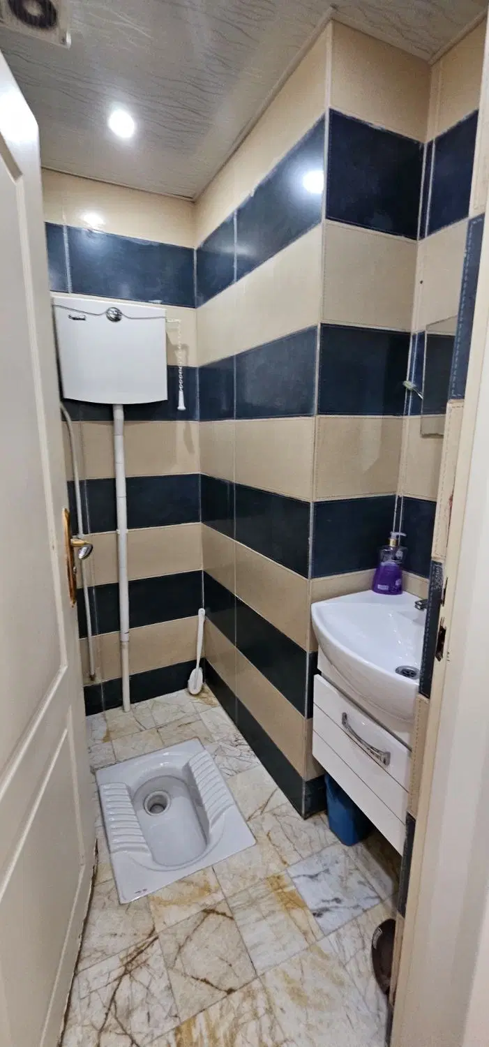 رودهن دکتر حسابی