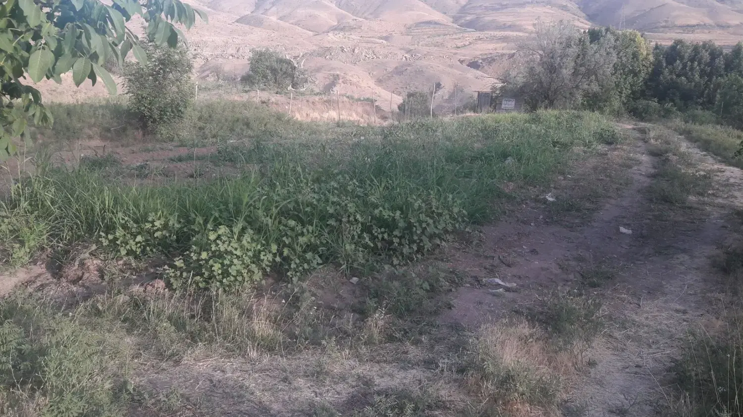 باغچه در روستای خوزنان زیرقیمت