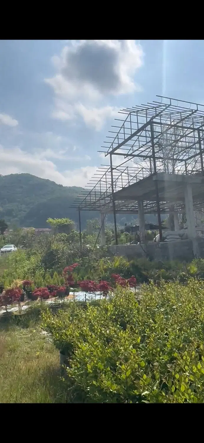 زمین ۲۴۰ متری سند تک برگ شش دانگ