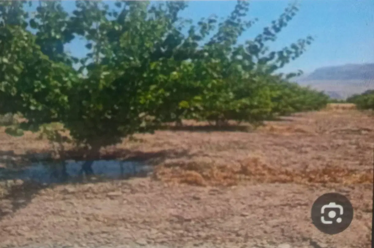 زمین باغ شهری ۱۰۰۰ متری مرودشت