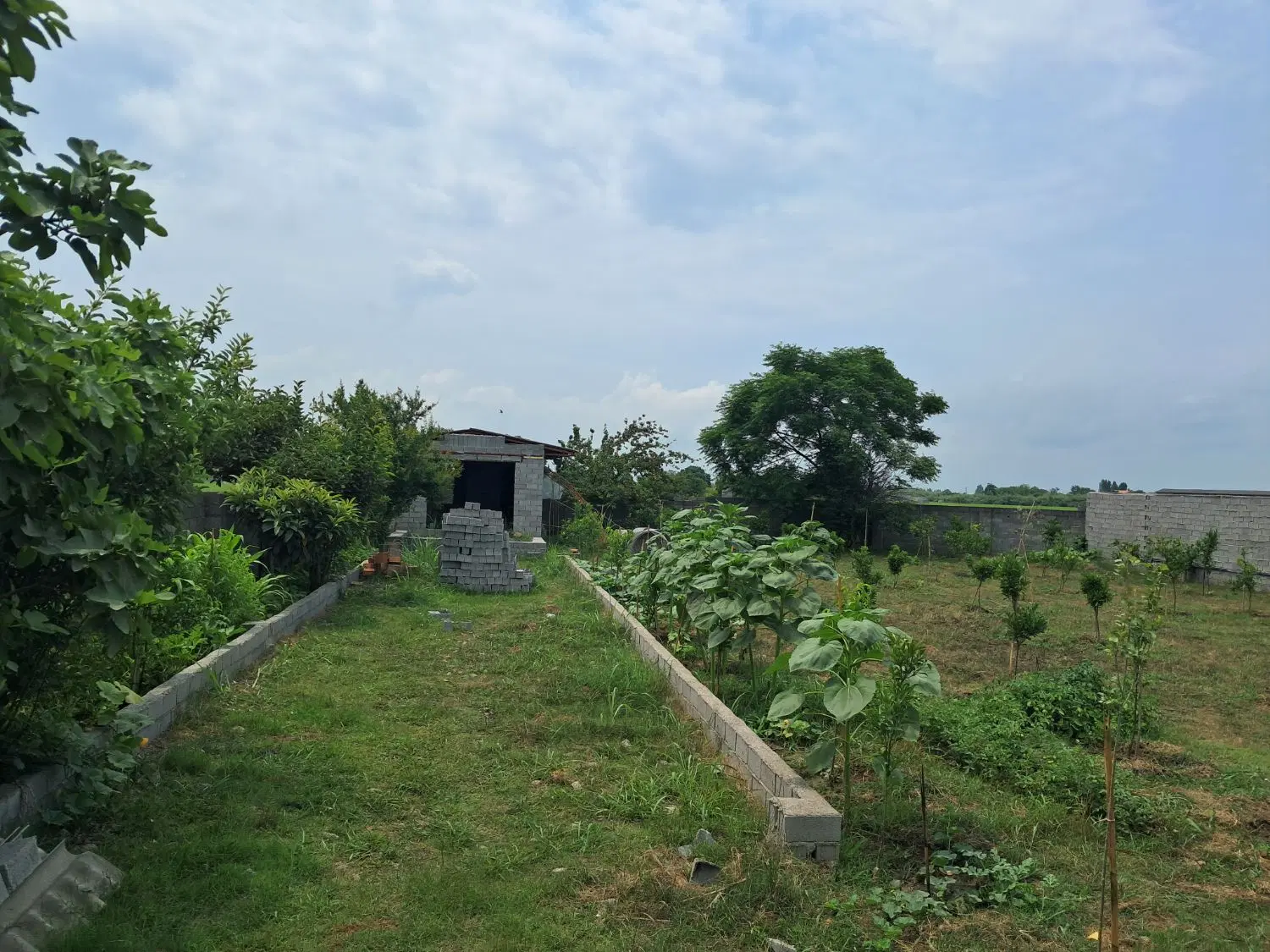 خونه باغ ۸۶۰ متری فروشی