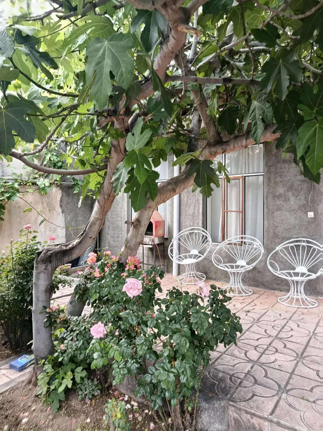 کلیبراجاره ویلا خونه حیاط دار