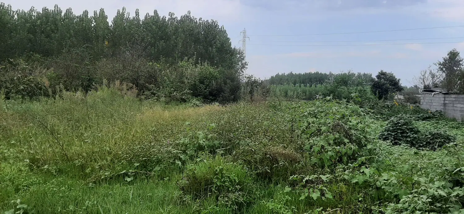 زمین مسکونی ضیابر
