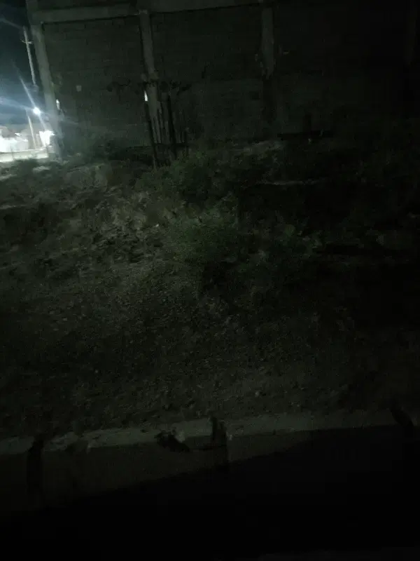 زمین کوی حواله