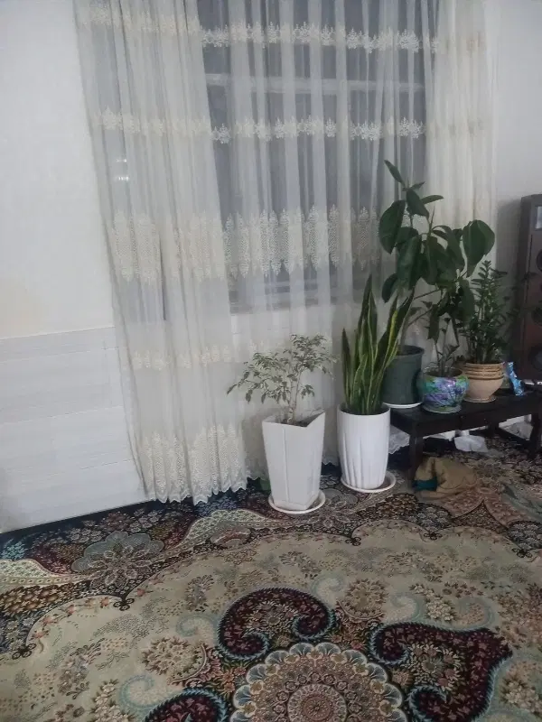 منزل اجاره ای دربست