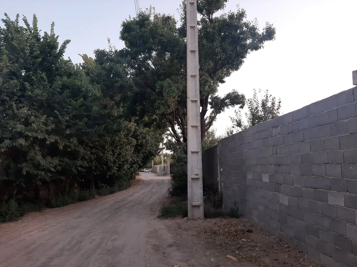 زمین باغ ویلا