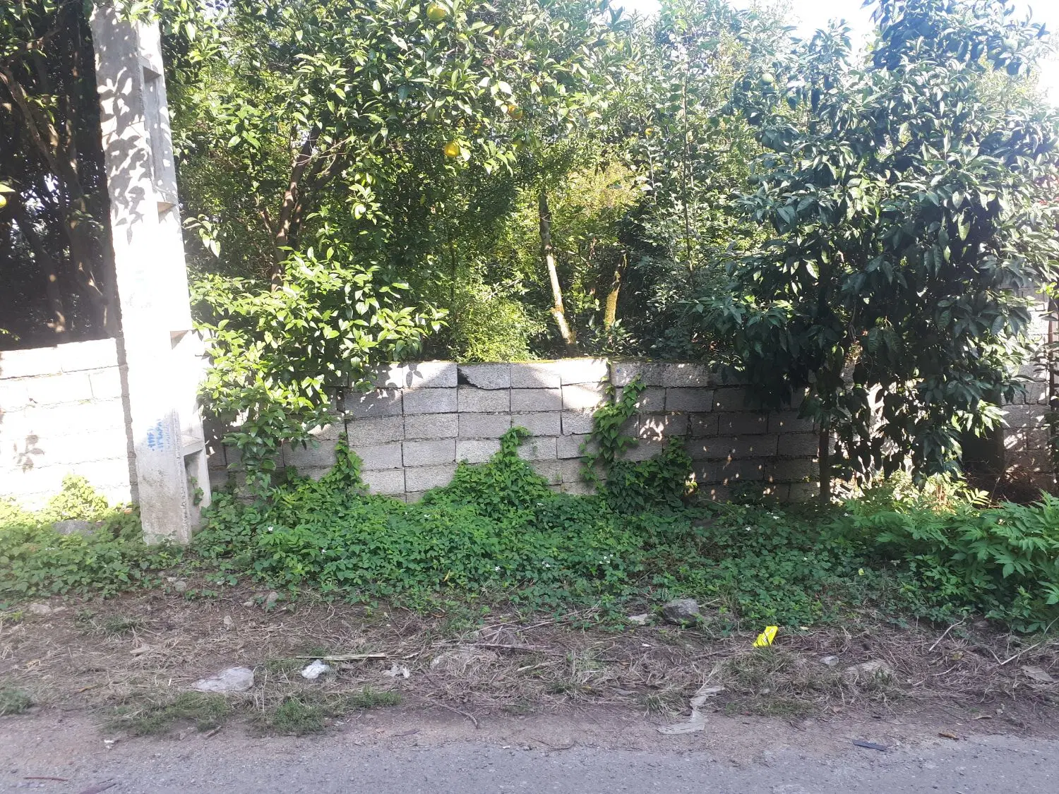 زمین مسکونی  در منطقه توریستی پرشکوه