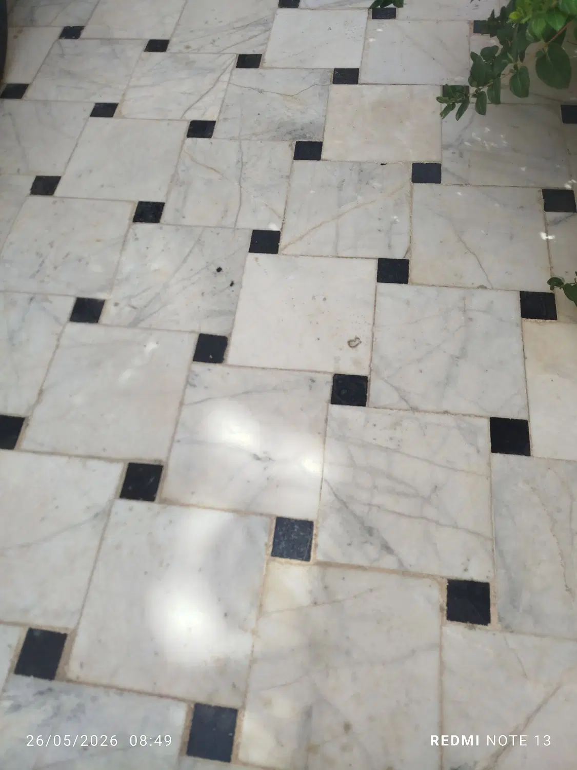 بدون واسطه