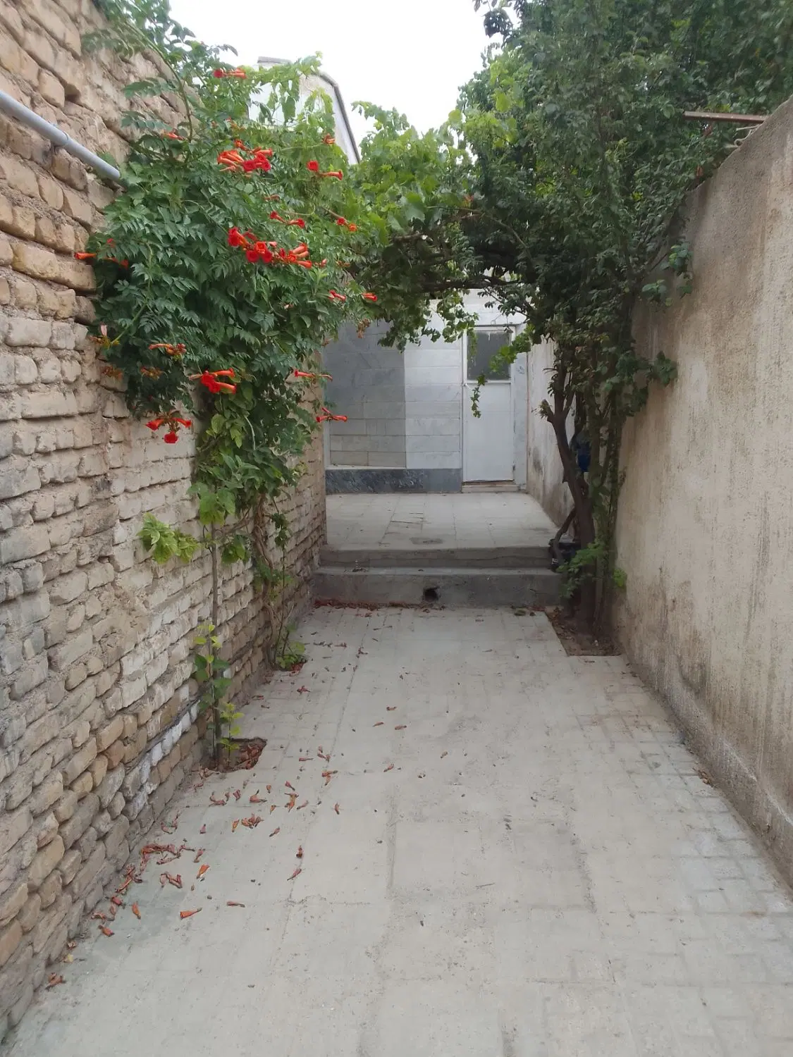 رهن واجاره منزل ویلایی در خیابان مجیدی