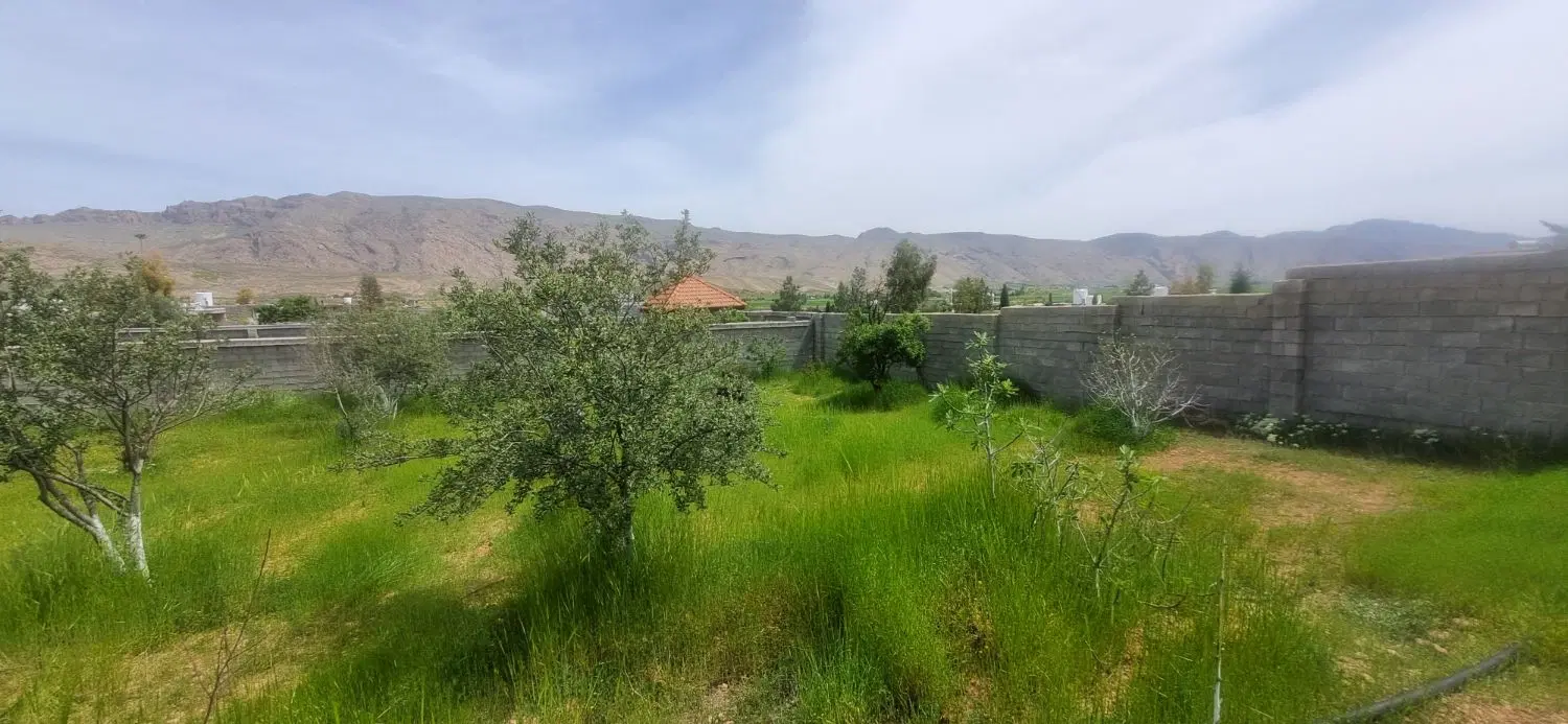 ۱۰۰۰باغ دیوار دار